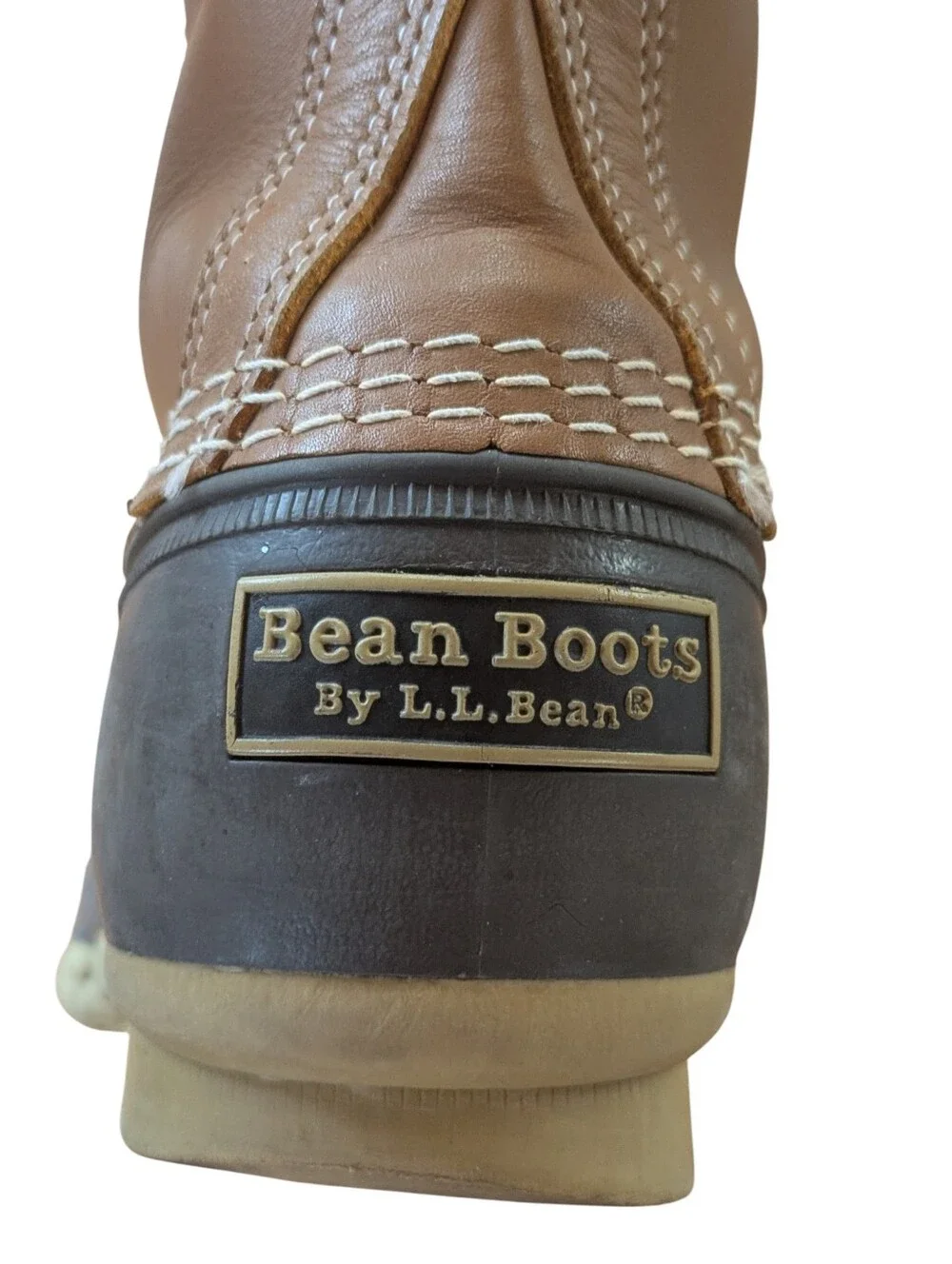 L.L. Bean 8